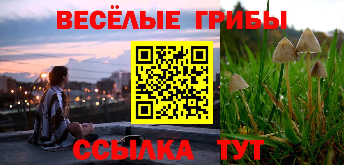 Псилоцибиновые грибы Psilocybine cubensis  Галлюциногенные грибы ЛСД  Вход с VPN  Элиста 